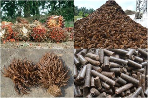  Oil Palm Empty Fruit Bunch: Sustainable Fiber for Insulation and Packaging?