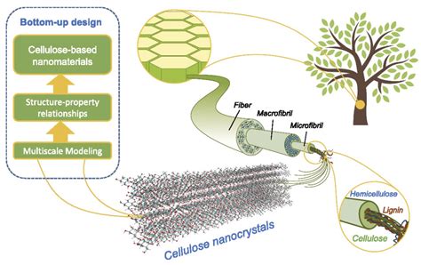 NanoCellulose: สุดยอดวัสดุอเนกประสงค์สำหรับการผลิตและยานยนต์ในอนาคต!